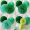 Honeycomb Ball Fans Wall Decorations(Green Kit)7.87 x 4.57 x 1.65 inches